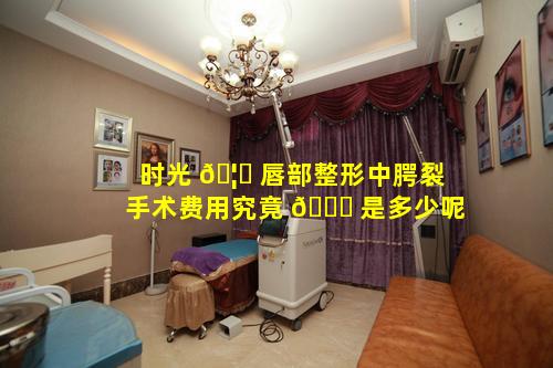 时光 🦅 唇部整形中腭裂手术费用究竟 🐈 是多少呢